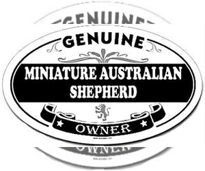 Miniature Australian Shepherd Dog Breeder near HUNTINGTON, UT, USA