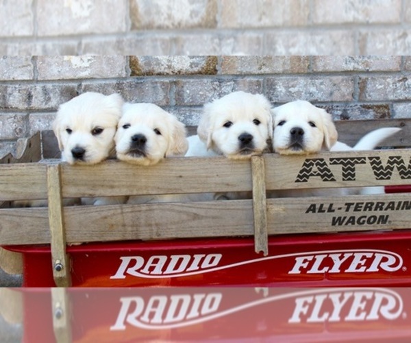 Medium Photo #1  Breeder Profile in KINGSTON, WA, USA