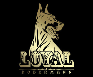 Doberman Pinscher Dog Breeder near MIAMI, FL, USA