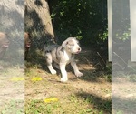 Small #6 Breeder Profile image
