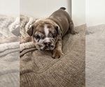 Small #6 Breeder Profile image