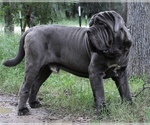 Small #32 Breeder Profile image