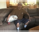 Small #2 Breeder Profile image