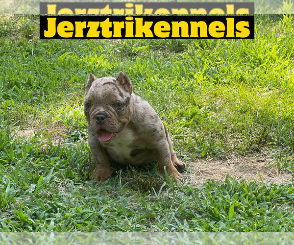 Medium Photo #1  Breeder Profile in WILLIAMSTOWN, NJ, USA
