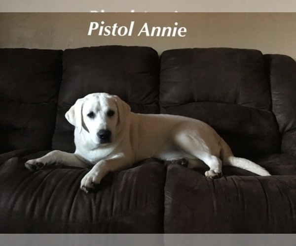 Medium Photo #1  Breeder Profile in STILLWATER, OK, USA