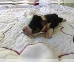 Small #3 Breeder Profile image