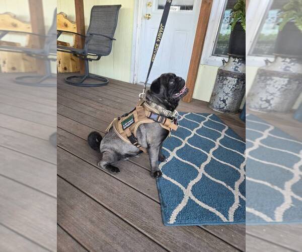Medium Photo #19  Breeder Profile in PRINEVILLE, OR, USA