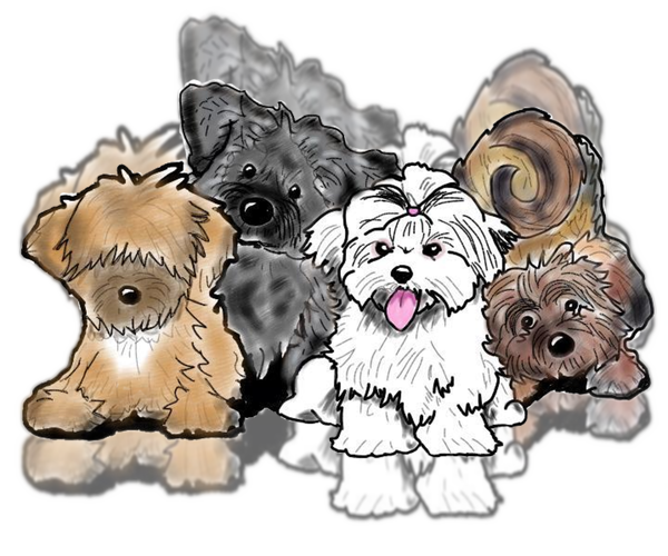 Medium Photo #2  Breeder Profile in BARREN SPRINGS, VA, USA
