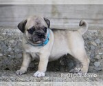 Small #4 Breeder Profile image