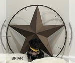 Small #14 Breeder Profile image
