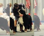 Small #2 Breeder Profile image