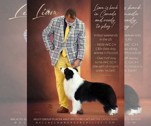 Medium Photo #21  Breeder Profile in BRYANTOWN, MD, USA