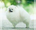 Small #5 Breeder Profile image