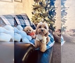 Small #1 Breeder Profile image