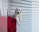 Small #3 Breeder Profile image