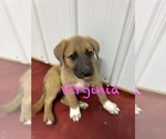 Small #5 Breeder Profile image
