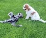 Small #27 Breeder Profile image