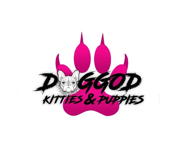Medium Photo #1  Breeder Profile in NEW YORK, NY, USA