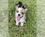 Small #2 Breeder Profile image