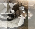 Small #10 Breeder Profile image