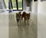 Small #12 Breeder Profile image