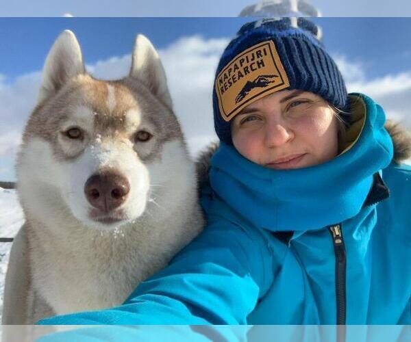 Medium Photo #3  Breeder Profile in Lviv, Lviv, Ukraine