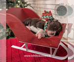Small #39 Breeder Profile image