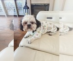 Small #1 Breeder Profile image
