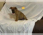 Small #8 Breeder Profile image