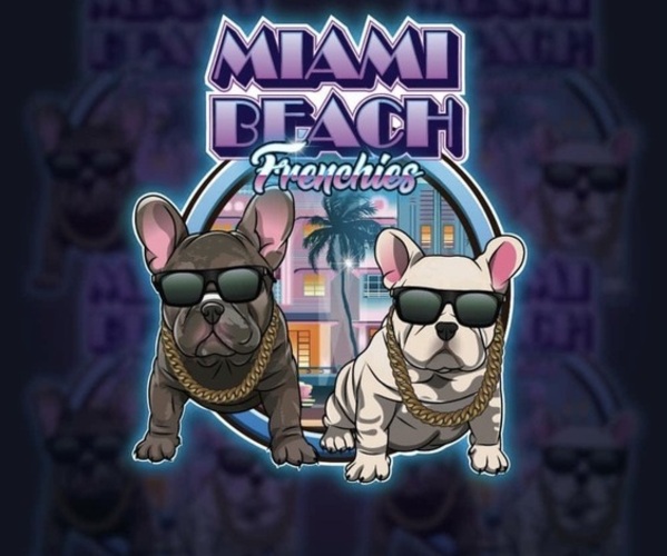 Medium Photo #1  Breeder Profile in HOMESTEAD, FL, USA
