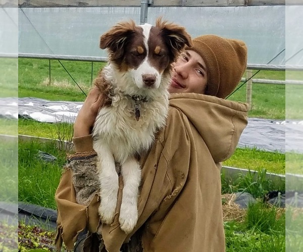 Medium Photo #4  Breeder Profile in BLUE RIVER, WI, USA