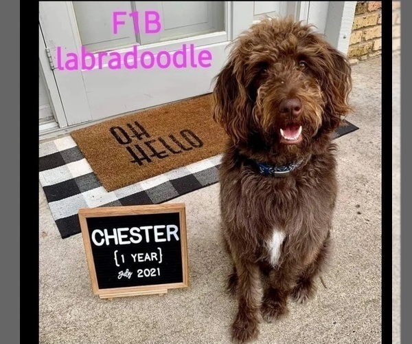 Medium Photo #34  Breeder Profile in MILLVILLE, MN, USA