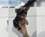 Small #9 Breeder Profile image