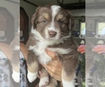 Small #4 Breeder Profile image