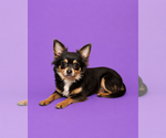 Small #4 Breeder Profile image