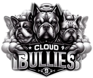 French Bulldog Dog Breeder near LORIS, SC, USA