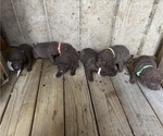 Small #2 Breeder Profile image