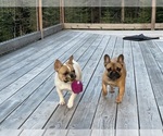 Small #35 Breeder Profile image