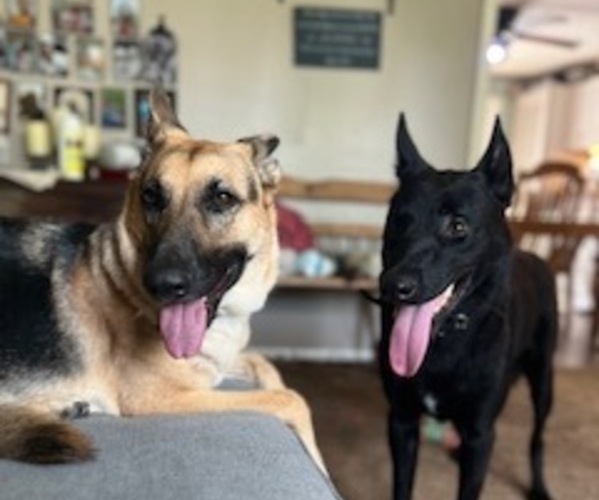 Medium Photo #1  Breeder Profile in BRISTOL, CT, USA