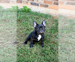 Small #37 Breeder Profile image