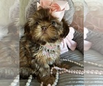 Small #2 Breeder Profile image