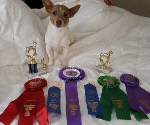 Medium Photo #18  Breeder Profile in CLAREMORE, OK, USA