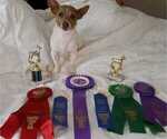 Small #17 Breeder Profile image