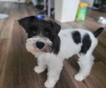 Small #12 Breeder Profile image
