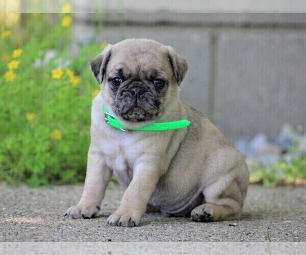 Medium Photo #1  Breeder Profile in LIBERTY, KY, USA