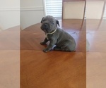 Small #5 Breeder Profile image