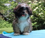 Small Photo #51  Breeder Profile in THORP, WI, USA