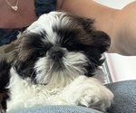 Small #12 Breeder Profile image
