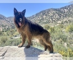 Small #14 Breeder Profile image