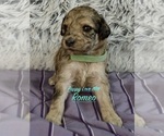 Small #5 Breeder Profile image